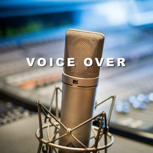 Voice Over | Gutschein